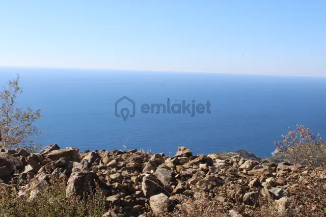 Antalya Gazipaşa Deniz Manzaralı Satılık Arsa Zeytinada 1