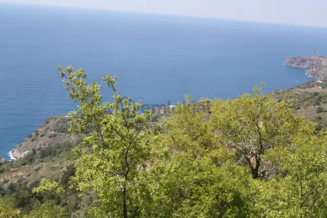 Deniz Manzaralı Satılık Tarla, 457 M2 Zeytinada 2