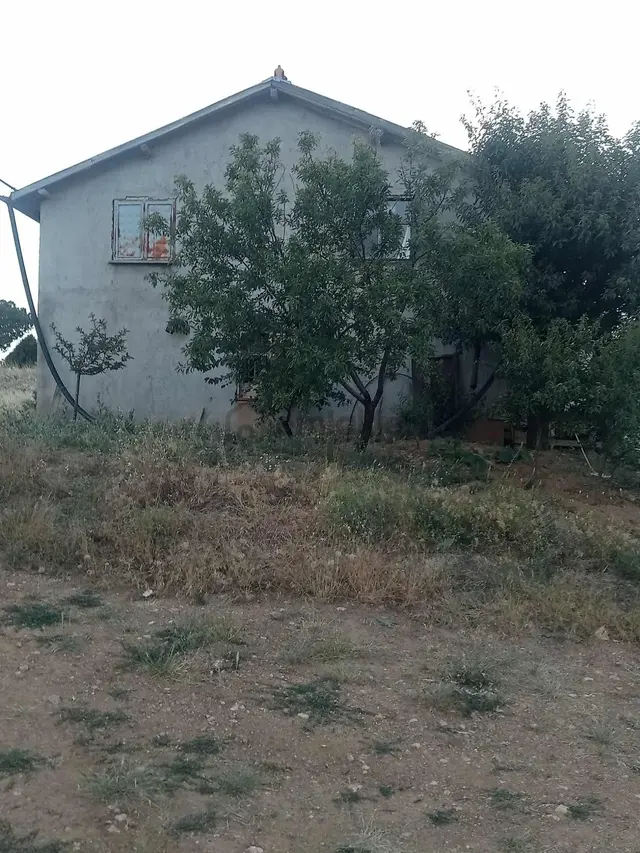 Bozkır Hamzalarda Yatırımlık 83.000 M2 Bağ 1