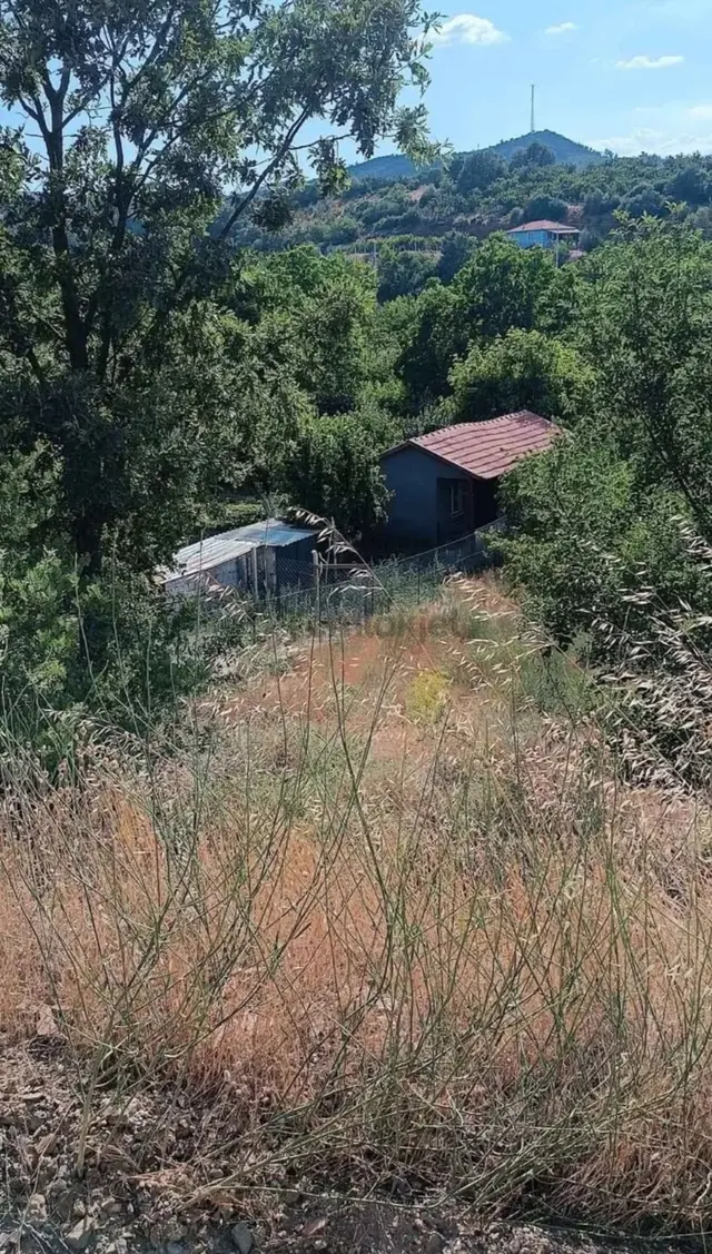 Dağyeniköy De İçinde Evi Olan Meyve Bahçesi 1