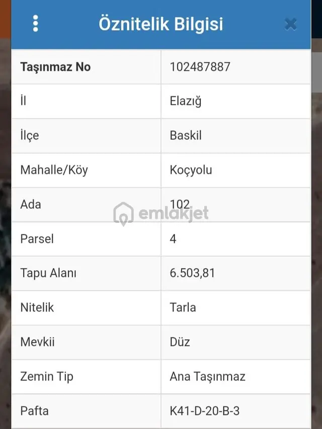 Elazığ Baskil Koçyolunda Satılık Tarla 1