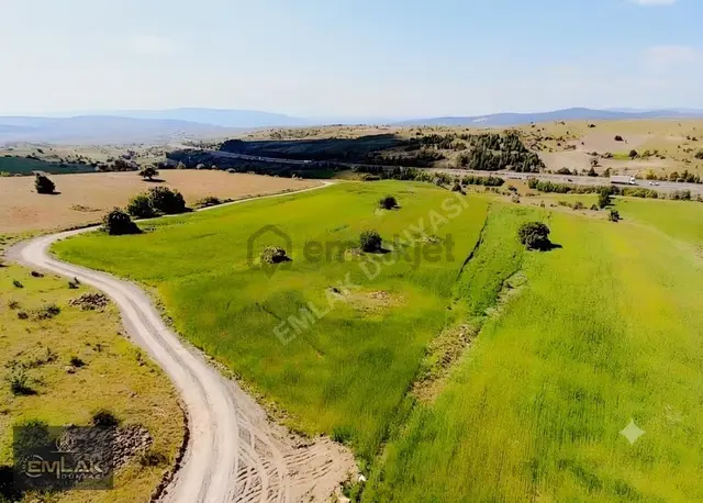 Anadolu Otoyolu Kenarı Tek Tapu 6.776 M2 Tarla (takaslı) 2