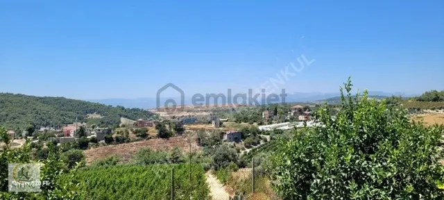 Kılınçtan Satılık Organize Sanayiye Yakın Limon Bahcesı