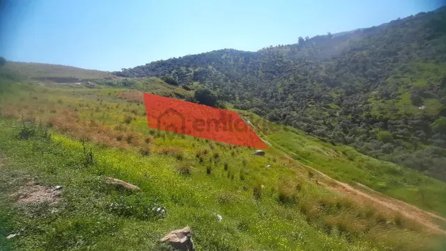 Koçarlının Yükselen Bölgesinde Yan Yana 3 Adet Villa Arsası 1