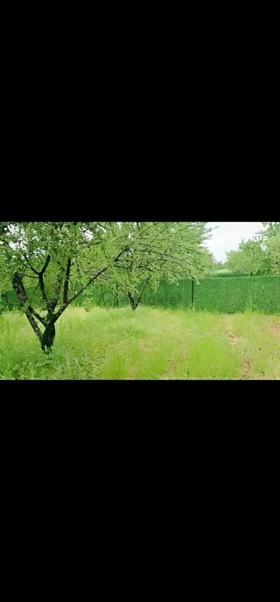Şambayatta Satılık Bağevi -arsa 2