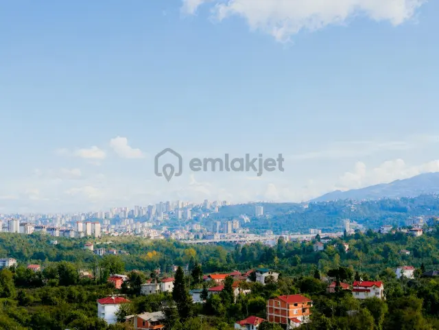Ordu Karacaömer Mahallesi Satılık Fındık Bahçesi... 2