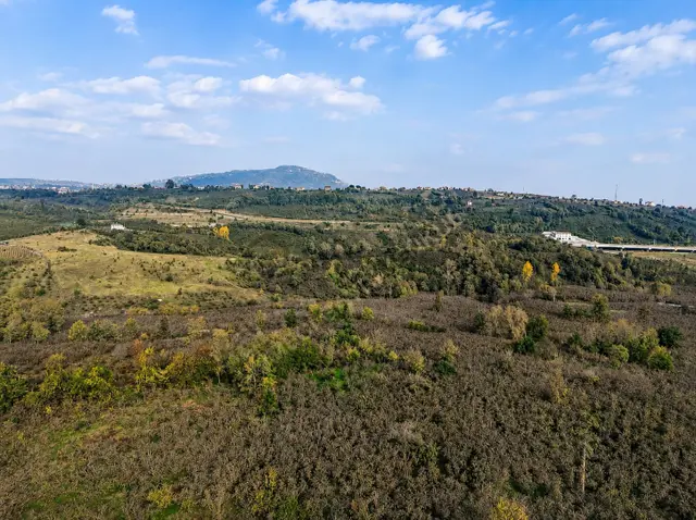 Ordu Karacaömer Mahallesi Satılık Fındık Bahçesi... 1