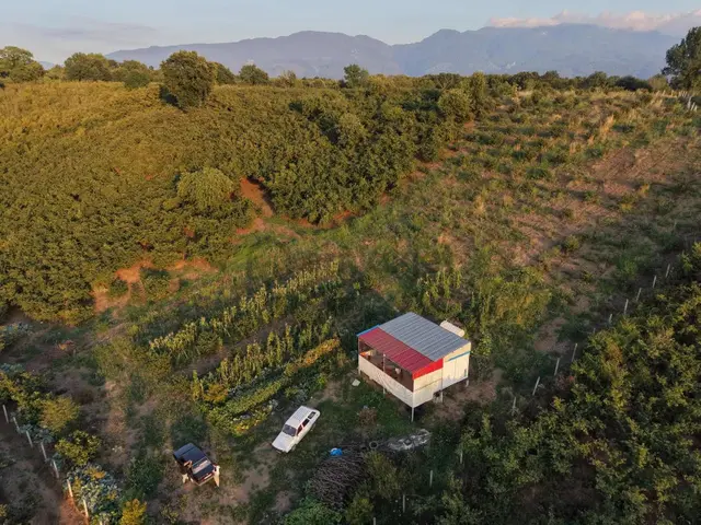 Meriç Çayrak'tan G.kargalı 16.703 M2 Satılık Fındık Bahçesi 1