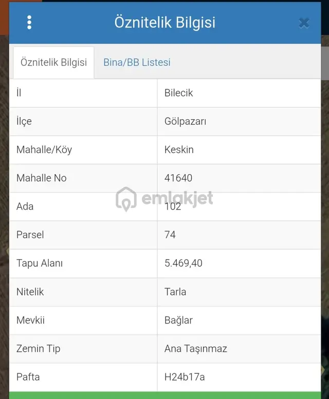 Bilecik Gölpazarı Keskin Köy Ekime Uygun Düz Zemin Üzerinde Yatırımlık Satılık Tarla 1
