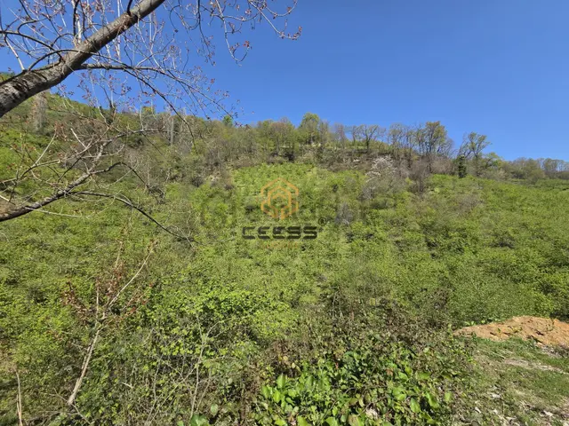 Trabzon Araklı'da Satılık Doğa Ve Deniz Manzaralı Arsa 2