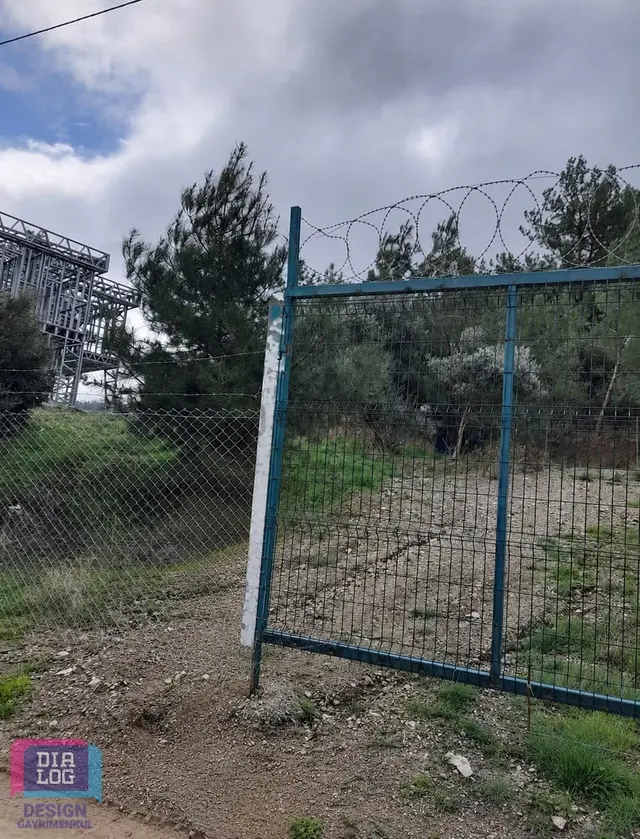 Kemalpaşa Ören'de Satılık Zeytinlik 1