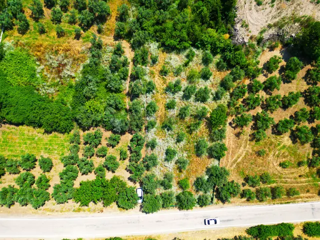 Mudanya Tirilye De Asfalt Yola Cephe Zeytinlik 2