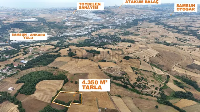 Bi·nova'dan İlkadım Kapaklı Mh. Satılık 4.392 M² Tarla