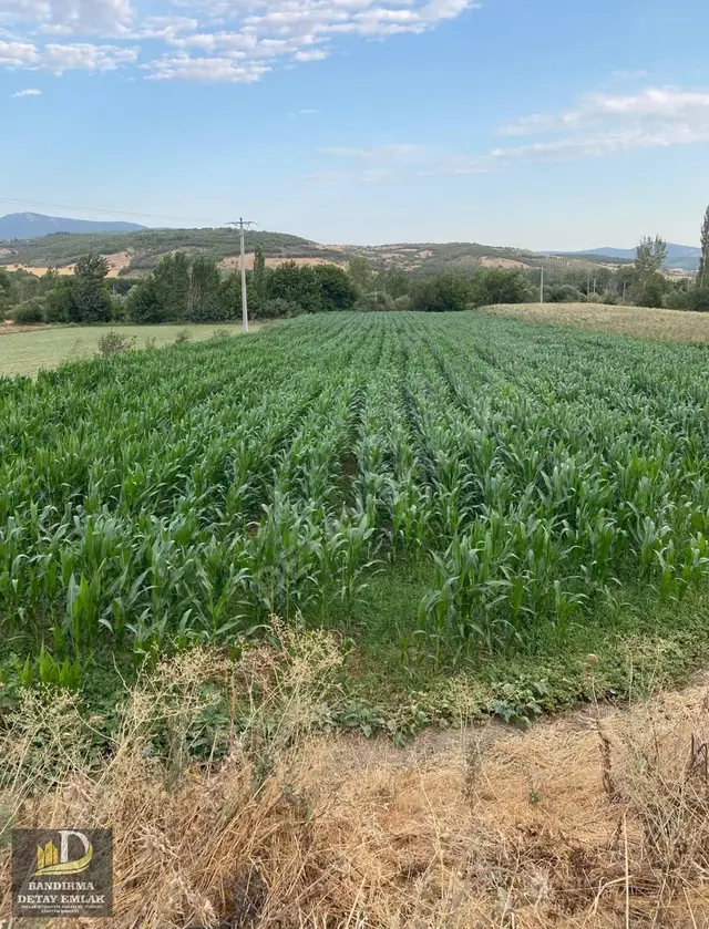 Detay Emlaktan Kepsut Tekkeışıklarda 4.144 M2 Satılık Tarla
