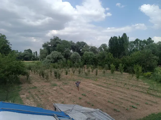 Satılık Meyve Ağaçları Olan Bahçe