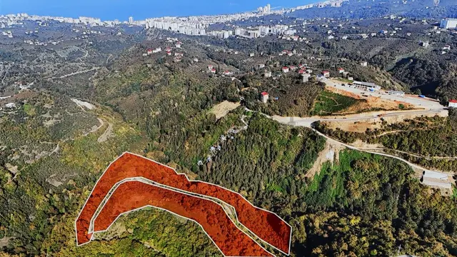 Trabzon Kaşüstü Dağ Kızağı Karşısı Satılık 64 Dönüm Arazi