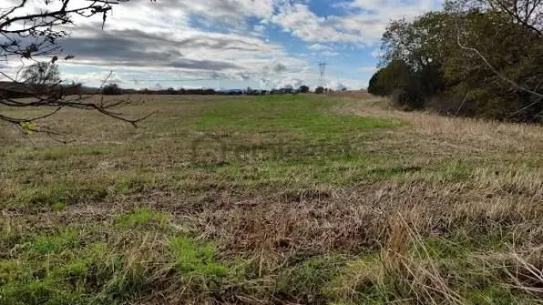 Kütahya Simav Hasanören Köyü'nde, Kiralık 15.629 M² Verimli Tarım Arazisi