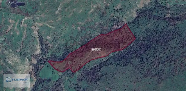 Dikili İslamlar Da 1000m2 Satılık Koopatif Tarla 1