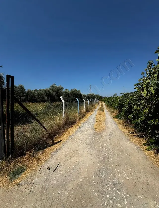 Kemalpaşa 8 Eylülde 1000 M² Bahçe | Merkeze & İmara 1 Km | Yatı 1