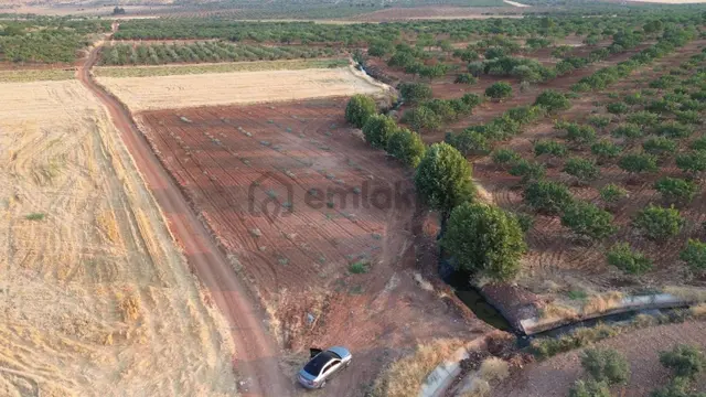 Oğuzeli Nova Gayrimenkul'den Altınyurtda Tek Tapu Yatırımlık Yer 1