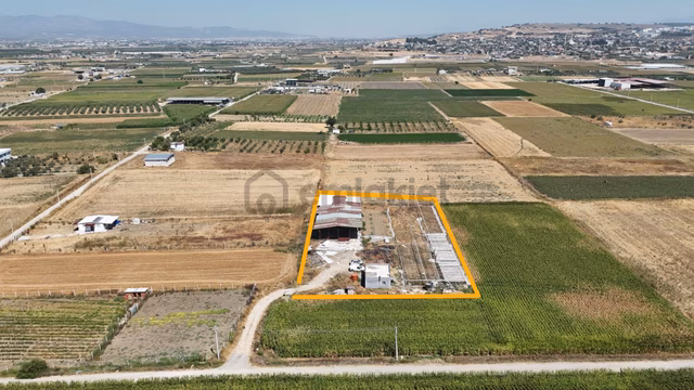 İzmir Menderes Tekelide 4 Dönüm Elektrik Sondaj Su 1+1 Ev Dam 1