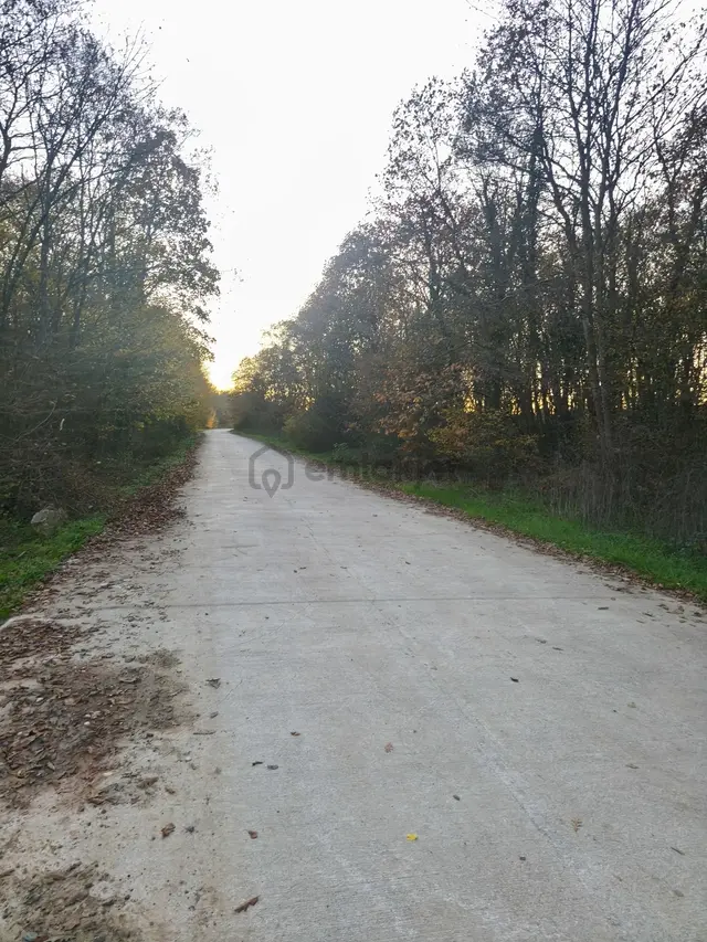 Kandıra Seyitaliler 1250m2 Tapululaştırmada Köye 600 Metre Tarla 1