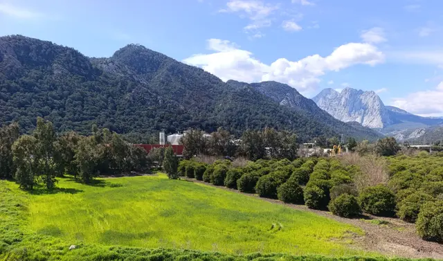 Eşyalı, Havuzlu, Doğa Manzaralı Masrafsız 3+1 Satılık Daire