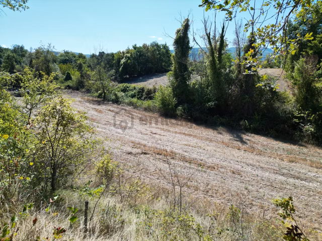 Sinop Gerze Çırnık 1