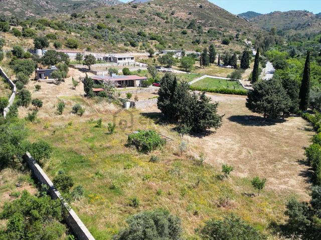 Bodrum Dereköy İçerisinde Taş Ev Bulunan 7441 M2 Tarla Hissesi 1