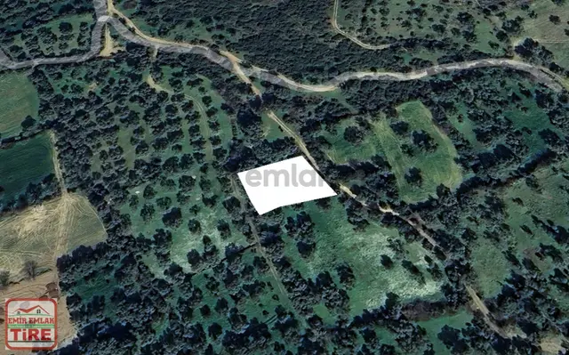 Emir Emlak'tan Satılık Zeytinlik 1