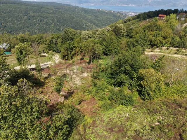 Sapanca Balkaya’da 3.193 M2 Satılık Bahçe 1