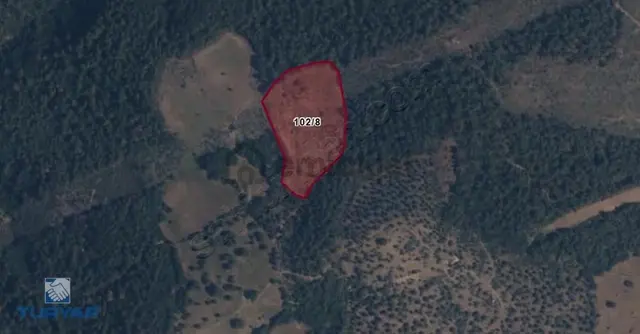 Çanakkale Bayramiç Karaibrahimler Köyü 12.100m² Satılık Tarla 1