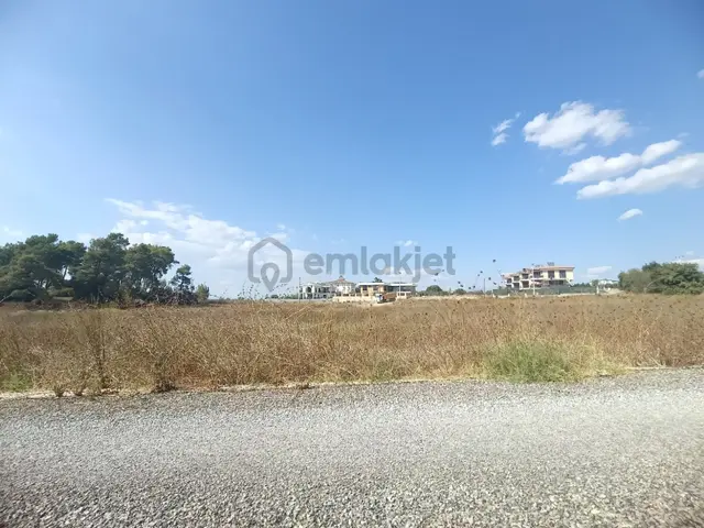 Evrenseki'de Caddeye Yakın Fırsat Arsalar️ 1