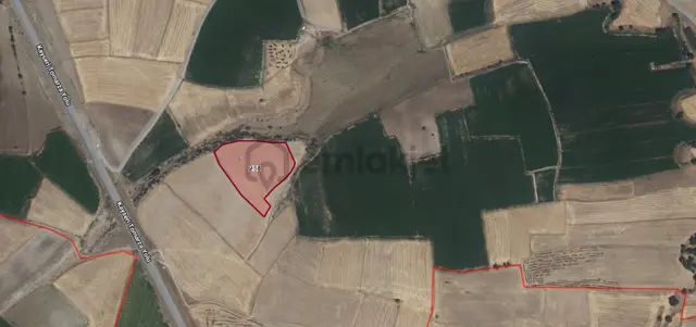 Tomarza Gülveren Satılık 13 Bin 500 M2 Tek Tapu Tarla 1