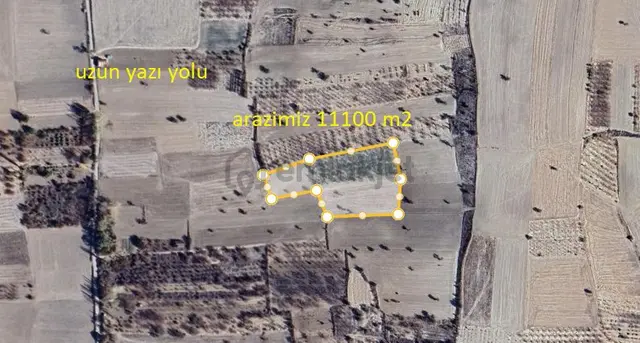 Konya Seydişehir Tepecik Mah. Ceviz Dikili Tarla Ceylanlar Emlaktan Satılık 1