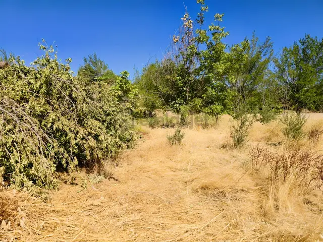 Hakev'den Satılık Şehrin Merkezinde 545 M2 Arazi 1