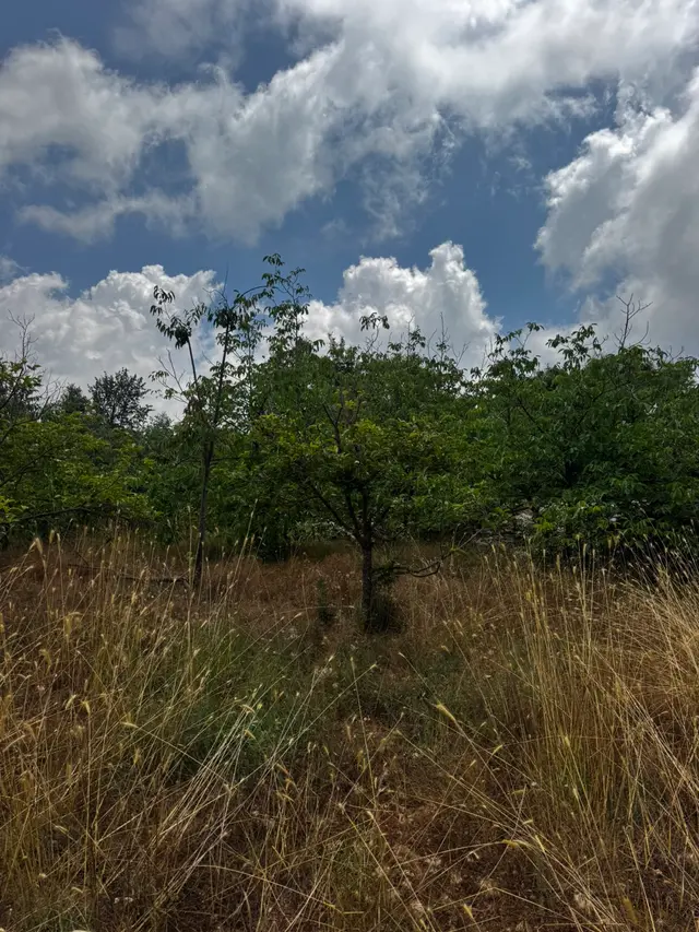 Küstüllü Yaylasında 1.500 Metre Arsa Villla İmarlı 1