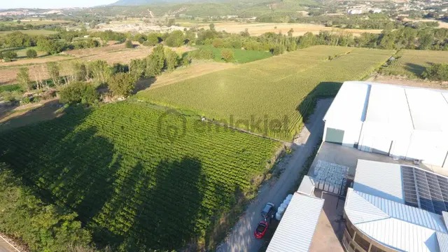Bm Real Estate Susurluk'ta 23.839 M2 Satılık 4 Adet Ticari Arsa