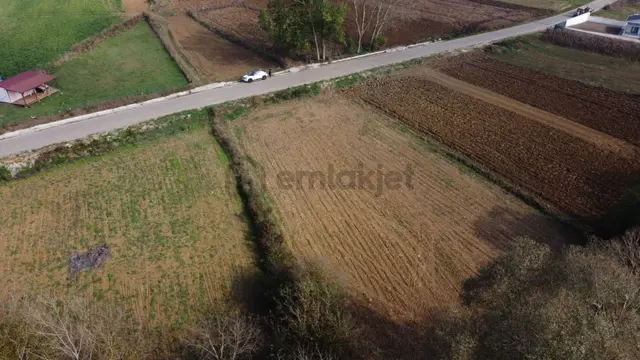 Sakarya Söğütlü İmamlar 1980 M2 Asfalta Cephe Satılık Arazi 1