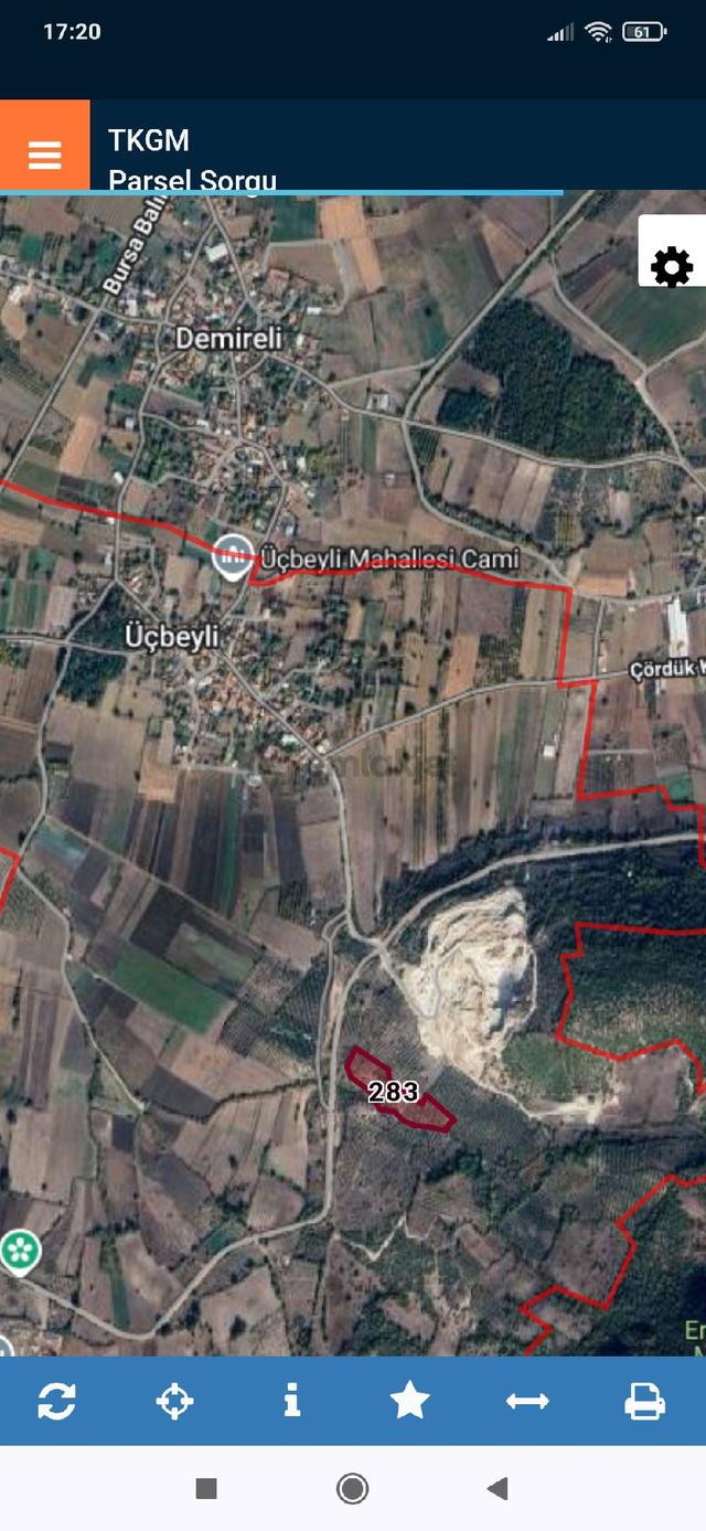 Bursa Mustafakemalpaşa İlçesi Üçneyli Köyü Satılık Zeytinlik 1