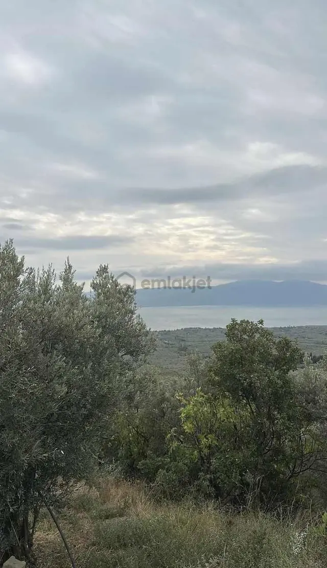 Orhangazi Çakırlıda İznik Gölü Manzaralı 688m2 Yatırımlık Tarla