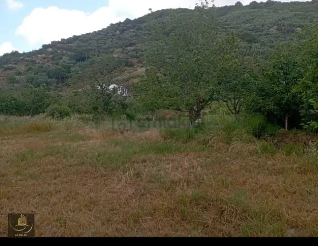 Erdek Ballipinarda 447 M Kiraz Bahçesi 1