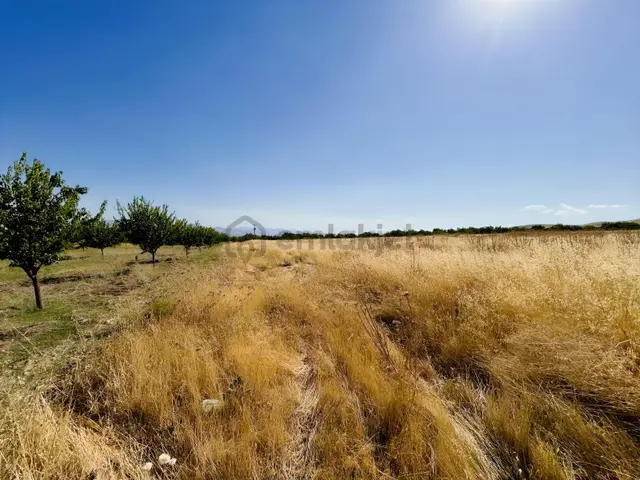 Yağızbey'den Akçadağ Esenli'de Satılık 20.000 M2 Tarla 1