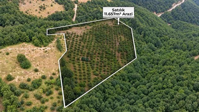 Fırsat Fiyata ! Canik Gölalan 11.6 Dönüm Acil Satılık Fırsat !!!