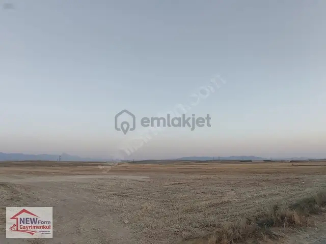 New Formdan Buget Köyünde 75 Dönüm Satılık Tarla 1