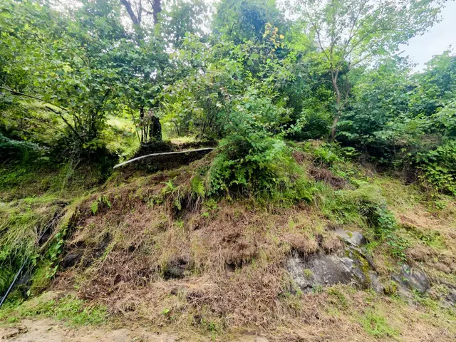Trabzon Vakfıkebir De Satılık Fındıklık