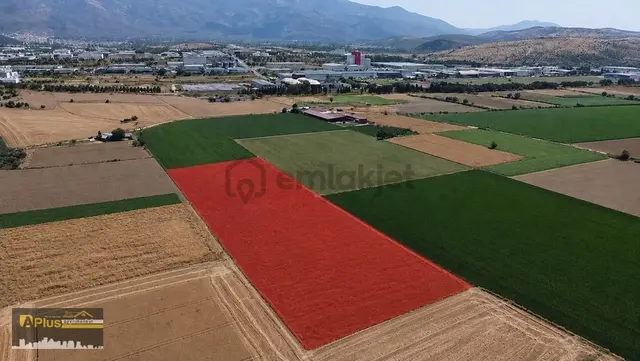 A Plus Gayrimenkulden 16.720 M2 Tire Osb Yakını Verimli Tarla 1