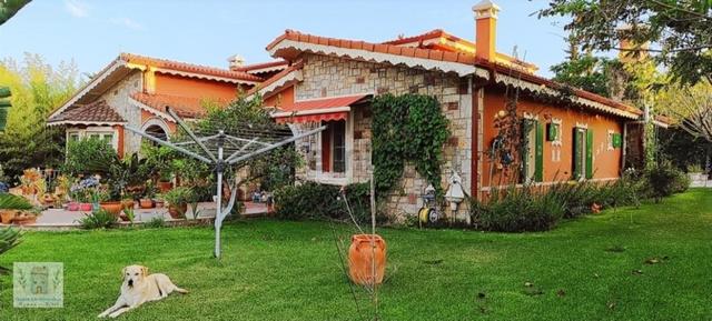 Özel Tasarım -geniş Arazili 5+2 Villa Şaraplık Bağ Ve Mahzenli 1