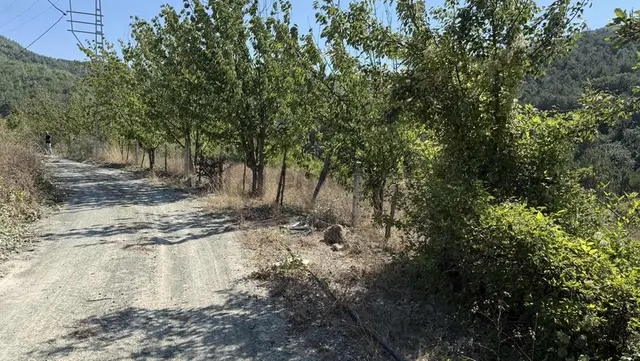Ömer Emlaktan Yola Cephe Kiraz Bahçesi