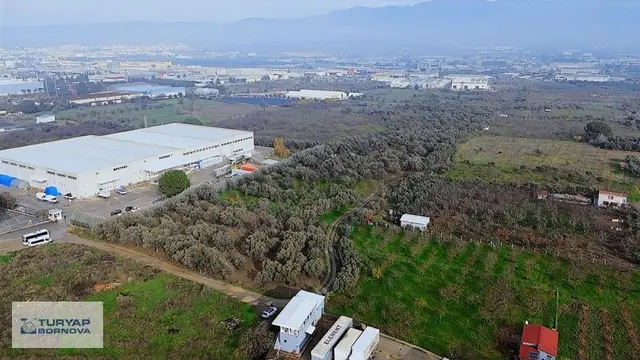 Turyap Bornova'dan Kızılüzüm'de Satılık 52.722 M2 Bağ 1